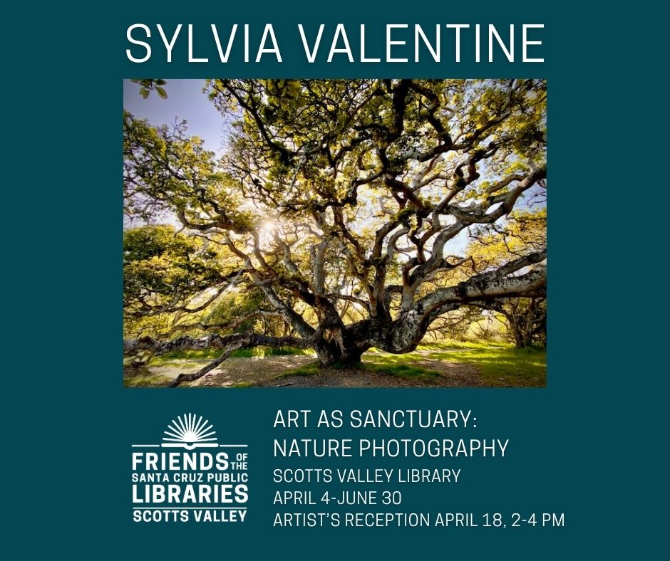 Sylvia Valentine Scotts Valley Library