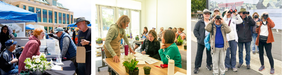 Friends of Santa Cruz Libraries
