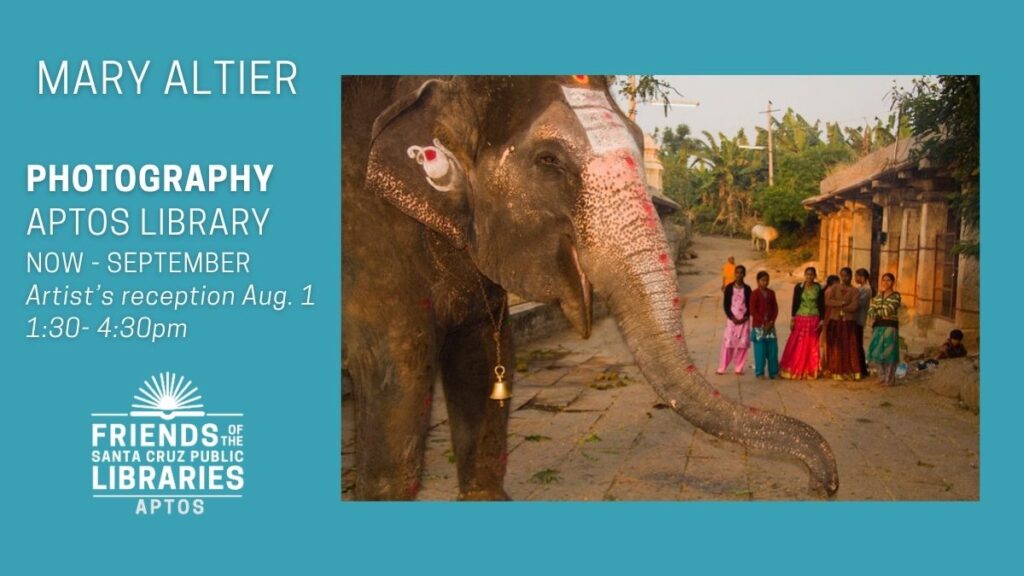 Mary Altier: Photography Aptos library