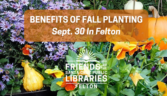 Felton Library Friends